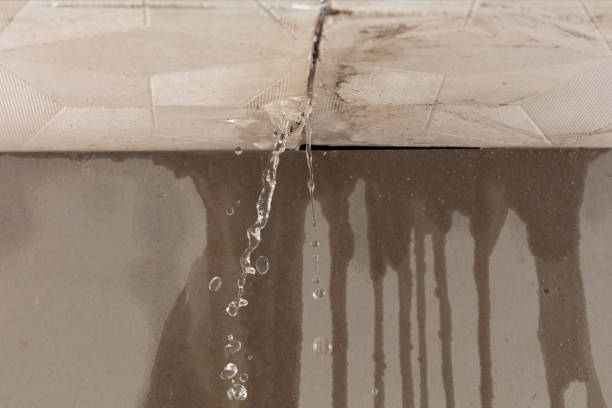 Professional Burst Pipe Cleanup technician working in Sidney, MI